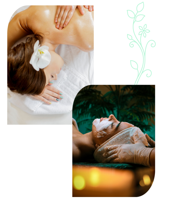 experience massage facial and wellness